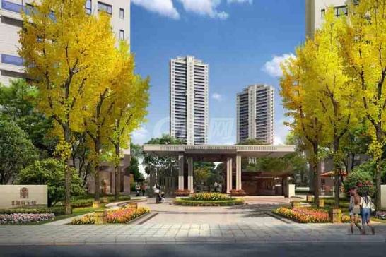 自貢貢伐-御府天驕